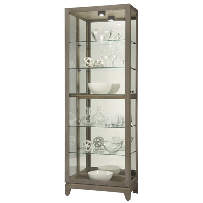 Greyleigh Flagg Lighted Gallery Style 5 Shelf Curio Cabinet in Onyx Black Reviews Wayfair